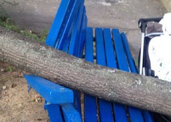 В Харькове дерево рухнуло на женщину с малышом