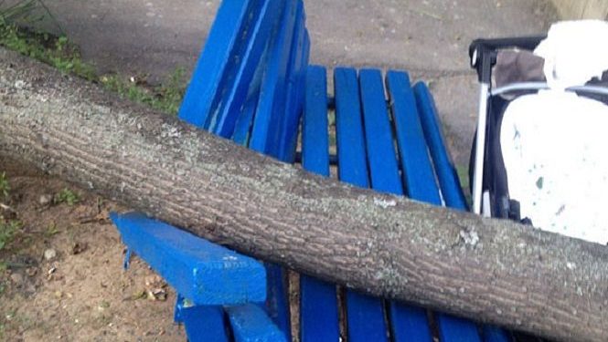 В Харькове дерево рухнуло на женщину с малышом