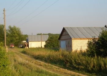 Белорусским дачникам разрешили платить одинаковые взносы, - указ Лукашенко