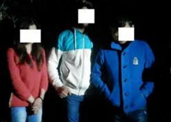 В Закарпатской области задержали одну из крупнейших групп незаконных мигрантов