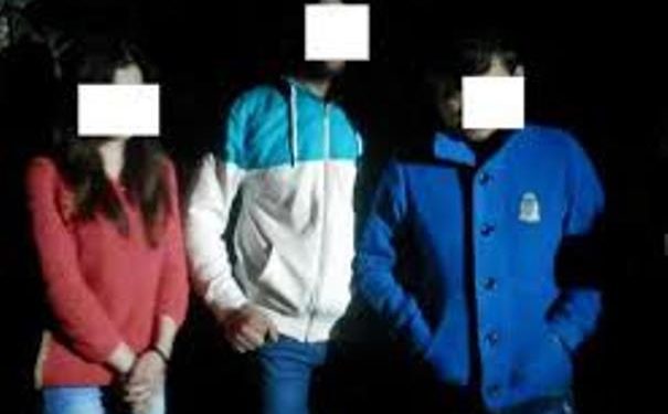 В Закарпатской области задержали одну из крупнейших групп незаконных мигрантов