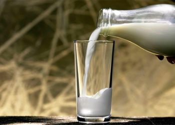 Производство молока в 2015 году сократилось на 4,5%