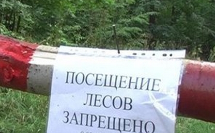 Белорусские власти сняли запрет на посещение лесов