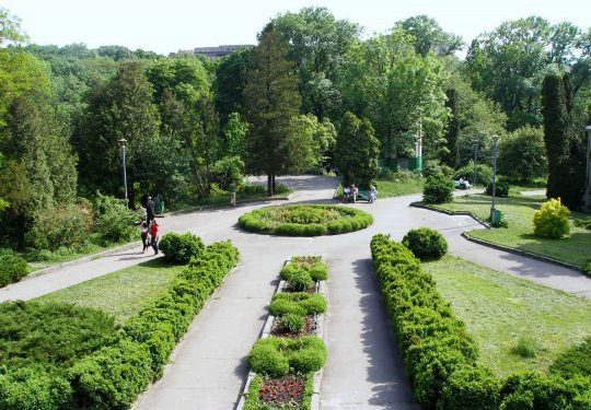 В Киеве может появиться парк имени Виктора Цоя