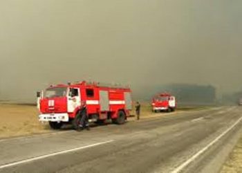 В «Чернобыльской пущи» до сих пор тушат два очага тлеющего торфа