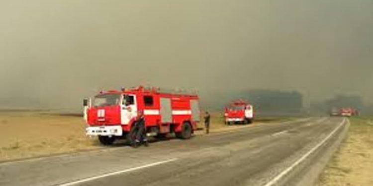 В «Чернобыльской пущи» до сих пор тушат два очага тлеющего торфа