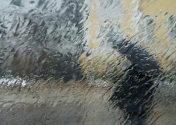 Ураган в Закарпатской области повредил дома, есть погибший