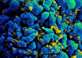 Зафиксировали первый случай долгосрочной ремиссии ВИЧ без лечения