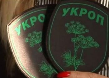 Ответственность за мукачевские события лежит на руководстве страны, - «Укроп»