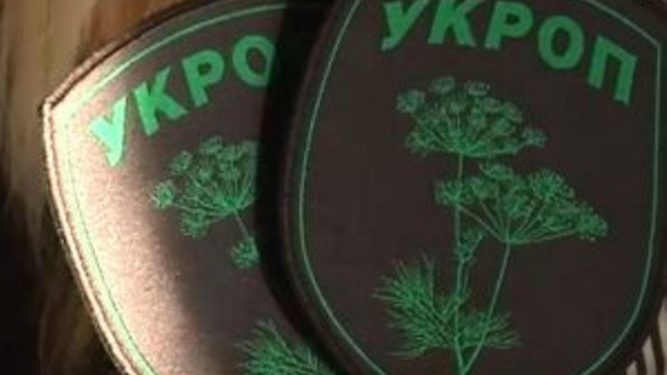 Ответственность за мукачевские события лежит на руководстве страны, - «Укроп»