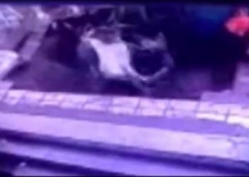 В Китае под землю провалились четыре человека