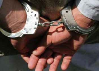 Оперативники перекрыли канал поставки наркотиков из Италии в Украину