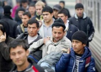 Еще одну машину с мигрантами нашли в Австрии