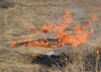 В Закарпатской области объявили высокий уровень чрезвычайной пожарной опасности