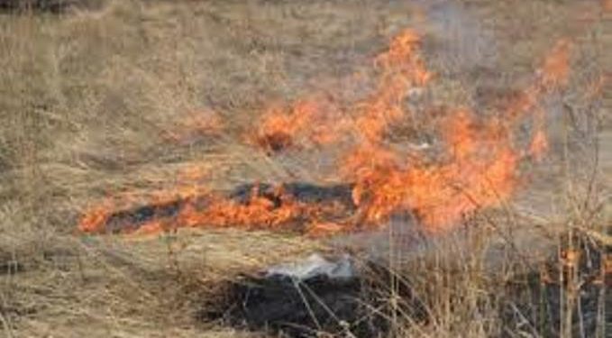 В Закарпатской области объявили высокий уровень чрезвычайной пожарной опасности