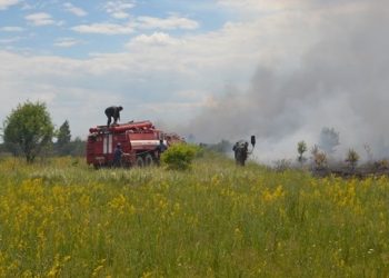 В «Чернобыльской пуще» до сих пор гасят пожар, - пресса