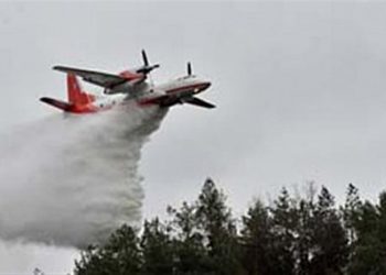 Огнеборцы остановили фронт пожара в «Чернобыльской пуще»