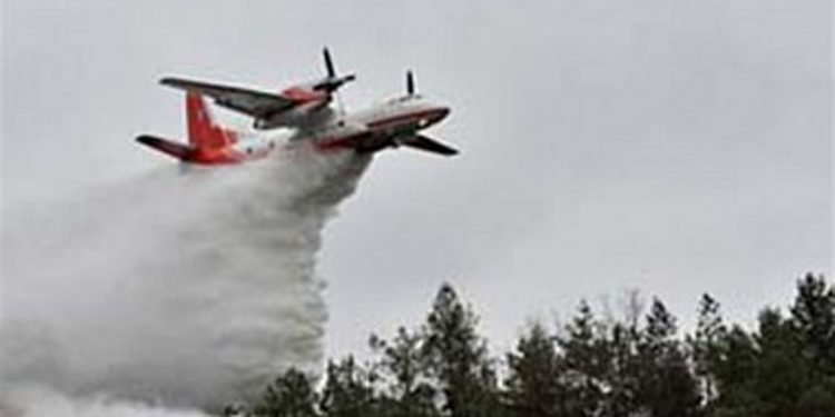 Огнеборцы остановили фронт пожара в «Чернобыльской пуще»