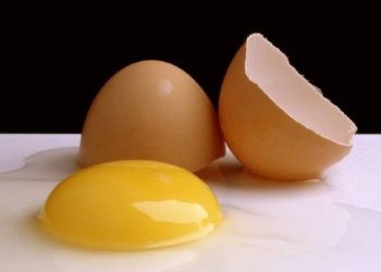 Специалисты посоветовали идеальный продукт для начала дня