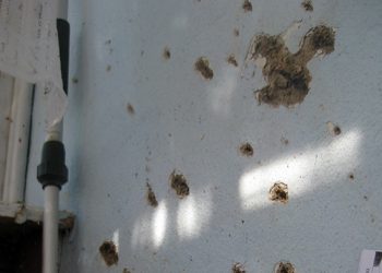 В магазине в Ивано-Франковской области прогремел взрыв