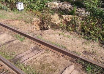 Копатели янтаря повредили в Ровенской области узкоколейку