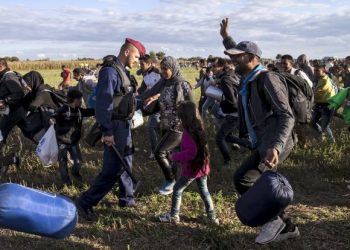 Беженцы прорвали заслоны оперативников на границе Сербии и Венгрии