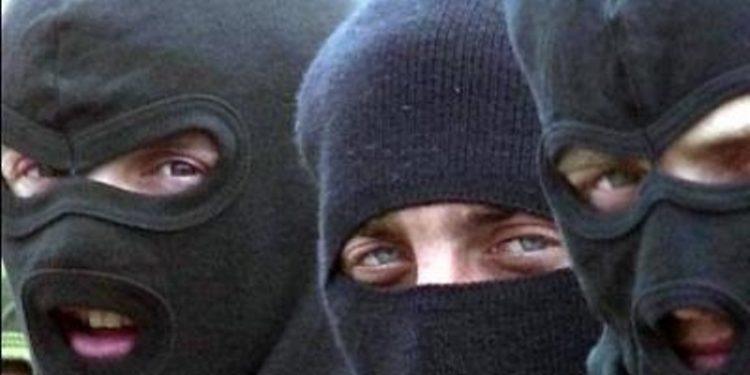 В Николаевской области вооружённые боевики захватили сельские земли