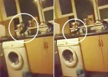 Жуткое видео с «полтергейстом» на кухне напугало юзеров