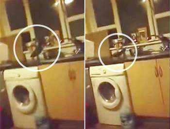 Жуткое видео с «полтергейстом» на кухне напугало юзеров