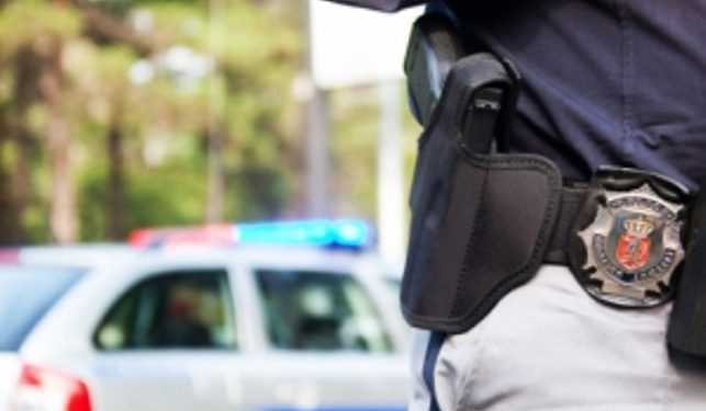 Нетрезвыйглава ГАИ во Львове устроил погоню с полицией