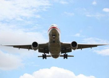 Самолет Air Canada прервал рейс ради спасения жизни животного