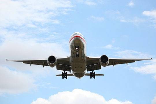 Самолет Air Canada прервал рейс ради спасения жизни животного