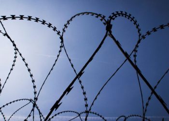 Боевики движения «Талибан» выпустили из тюрьмы 350 заключенных
