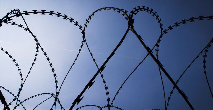 Боевики движения «Талибан» выпустили из тюрьмы 350 заключенных