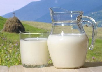 Яценюк: Украинское молоко будут поставлять в Китай