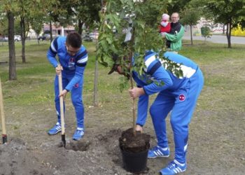 Украинские звезды посадили деревья на Аллее памяти патриотов Кузьмы