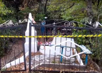 В Бердянске на «Старом кладбище» женщина убила бездомного