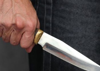 СМИ: Чеченец с ножом шел через белорусскую границу в Литву