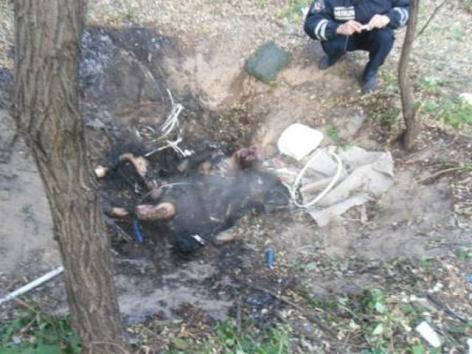 В Днепродзержинске задержали парня, который сжег живьем 87-летнего пенсионера