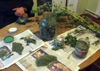В Мариуполе оперативники нашли около трех килограммов конопли