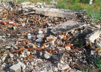 В Луганскую область для разминирования территорий прибудут 150 специалистов