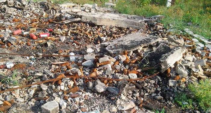 В Луганскую область для разминирования территорий прибудут 150 специалистов