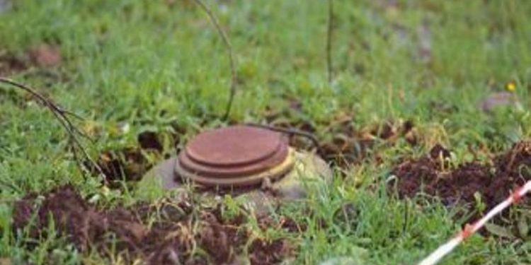 В Счастье на растяжке подорвался рыбак
