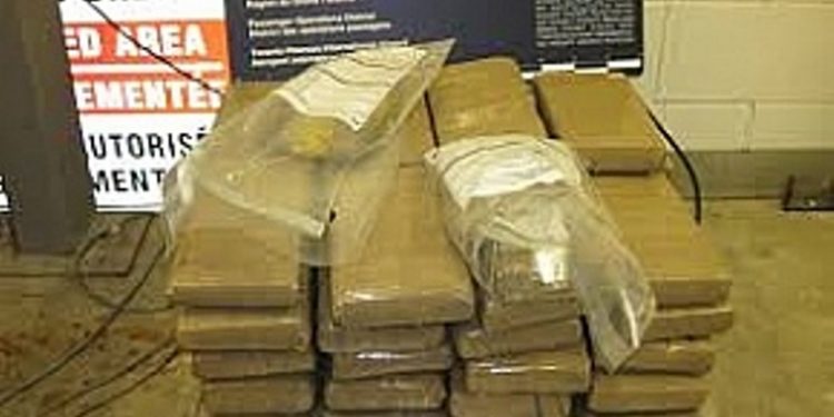 В Канаде правоохранители изъяли более 100 кг кокаина