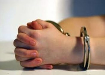В Мариуполе женщину пожизненно посадят за заказное убийство
