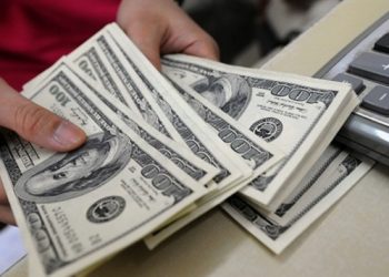 В Могилеве забывчивому зрителю кинотеатра вернули 5 тысяч долларов