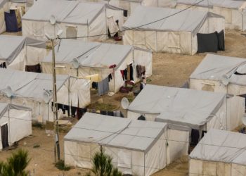 Власти 22 американских штатов против приема беженцев из Сирии
