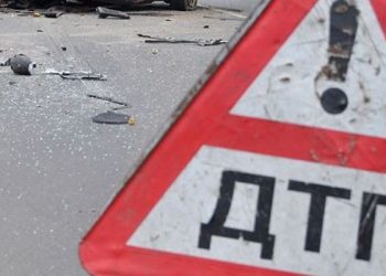 Во Львове полицейские из-за собаки попали в аварию