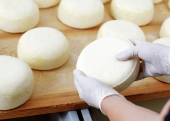 Индия планирует начать поставки сыров в Российскую Федерацию