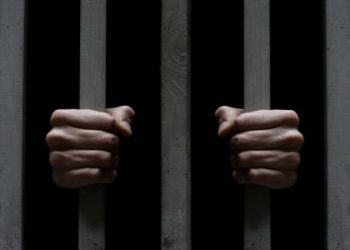 Информатора «ЛНР» задержали в Луганской области